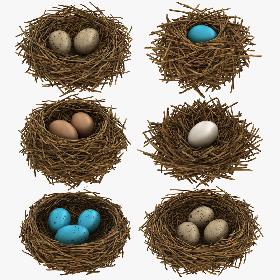 Bird Nest Collection 3D model